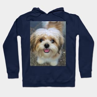 LOVE DOGS Hoodie